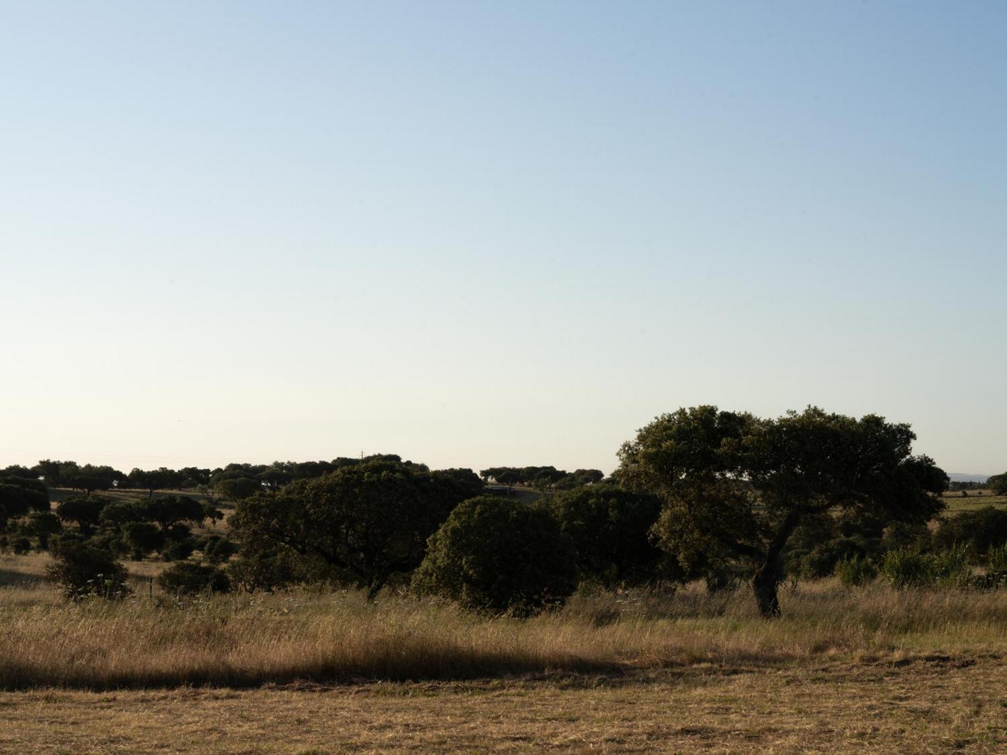 Change The World - Herdade Monte Do Peral Montes Juntos Exterior foto