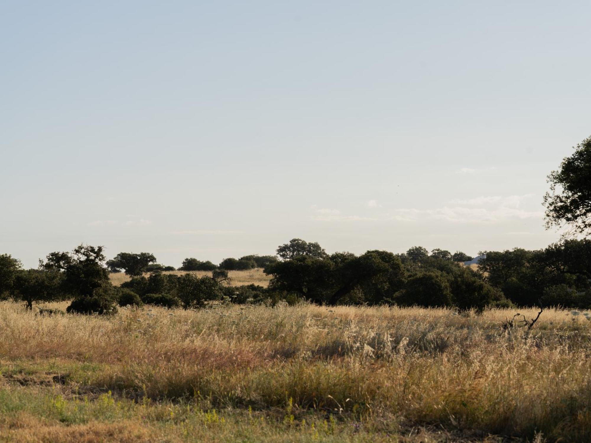 Change The World - Herdade Monte Do Peral Montes Juntos Exterior foto